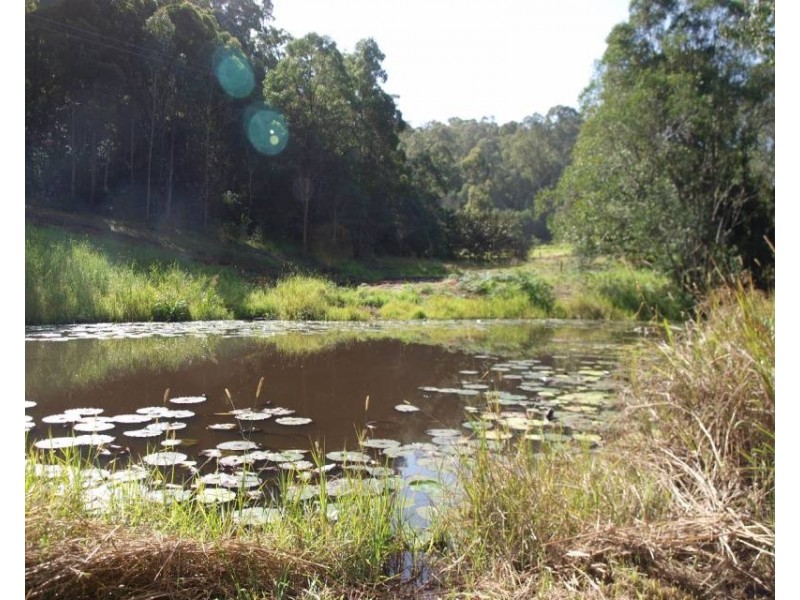 Cooran QLD 4569