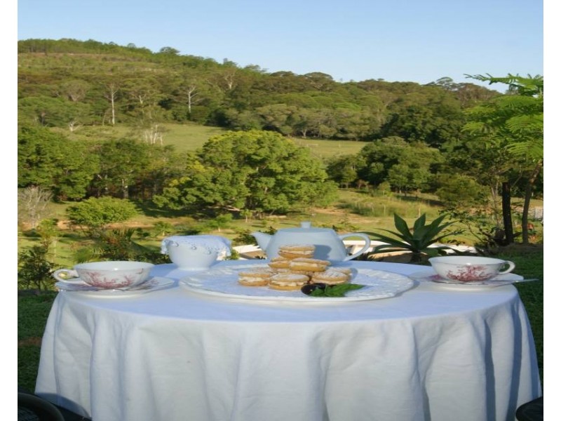 Eumundi QLD 4562
