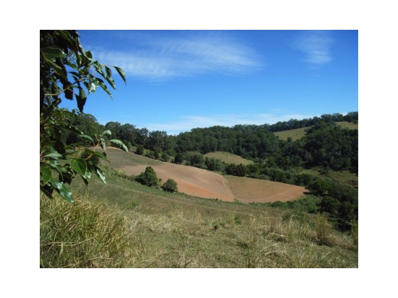 Cooroy QLD 4563