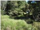 Cooroy QLD 4563