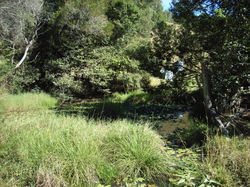 Cooroy QLD 4563