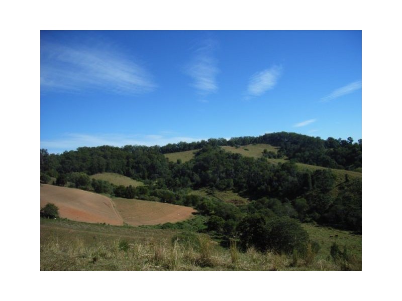 Cooroy QLD 4563