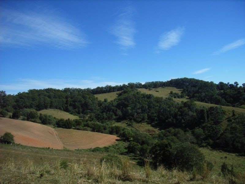 Cooroy QLD 4563