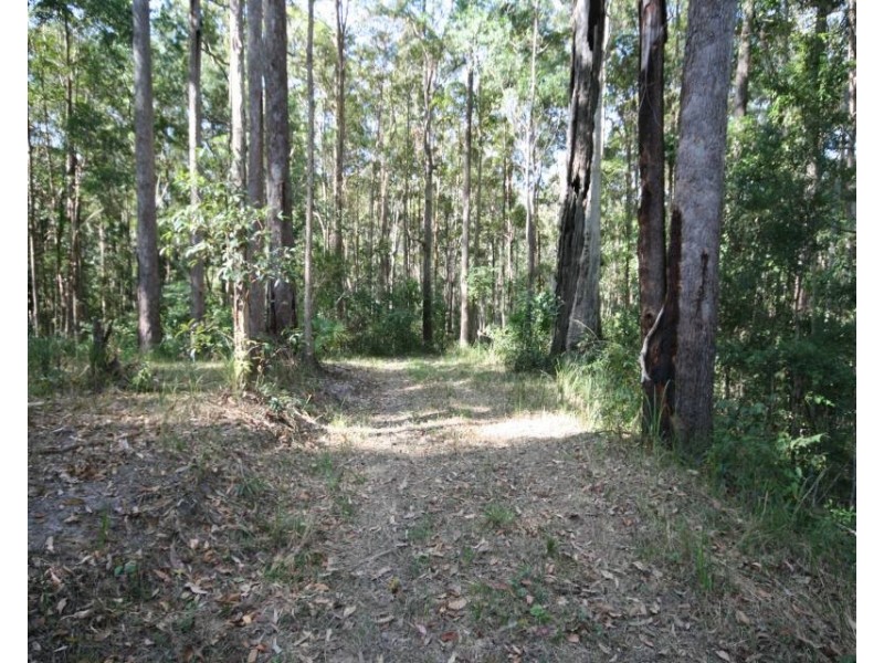 Lake Macdonald QLD 4563
