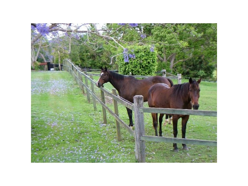 Eumundi QLD 4562