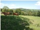 50 Binalong Road, Pomona QLD 4568
