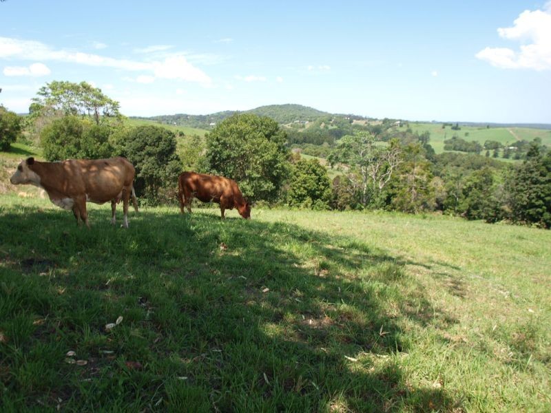 50 Binalong Road, Pomona QLD 4568