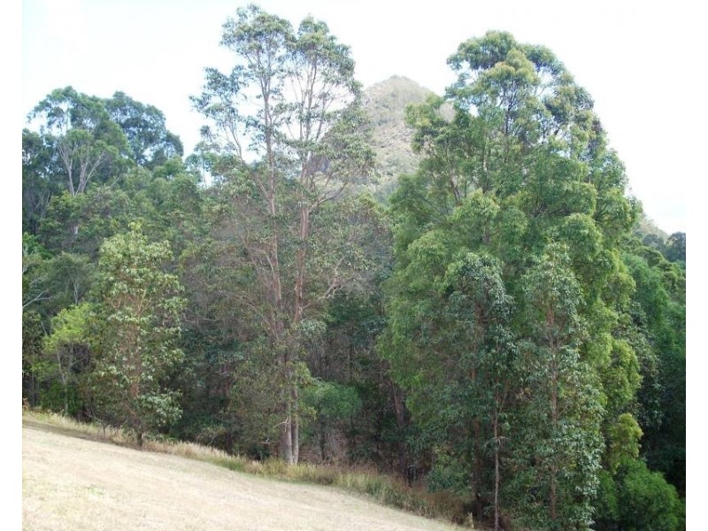 50 Bunderra Way, Cooran QLD 4569