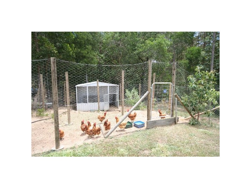 275 Blueberry Drive,, Cooroy QLD 4563