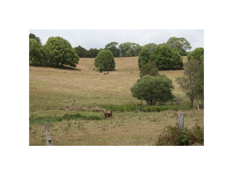 Cooroy QLD 4563