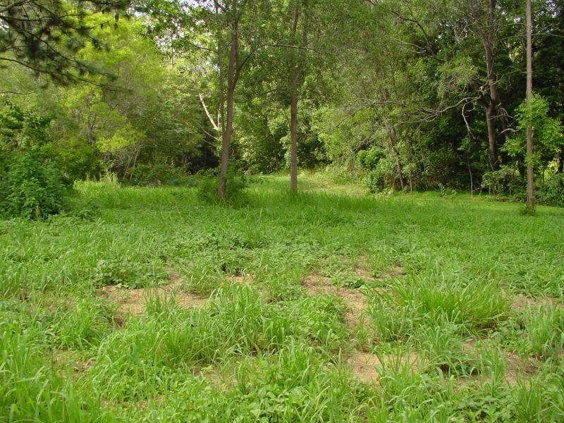 815  Pomona Kin Kin Rd, Kin Kin QLD 4571