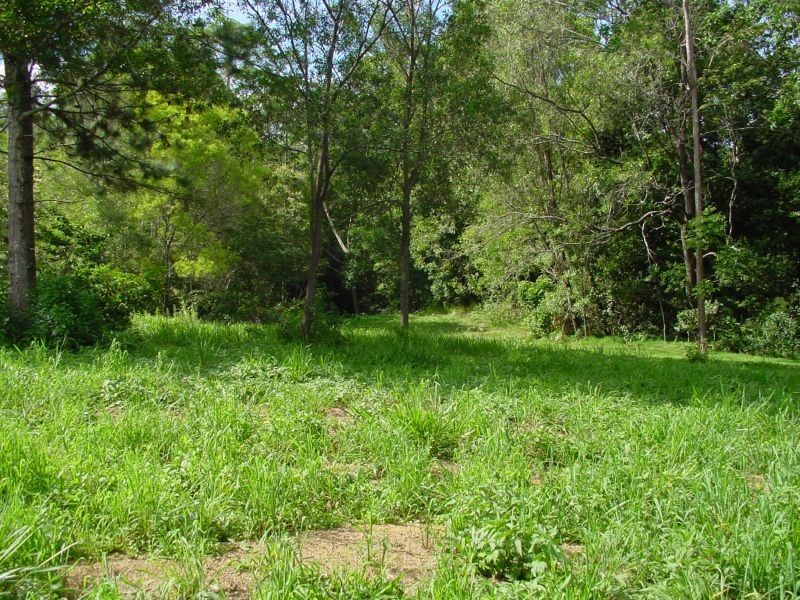 815  Pomona Kin Kin Rd, Kin Kin QLD 4571