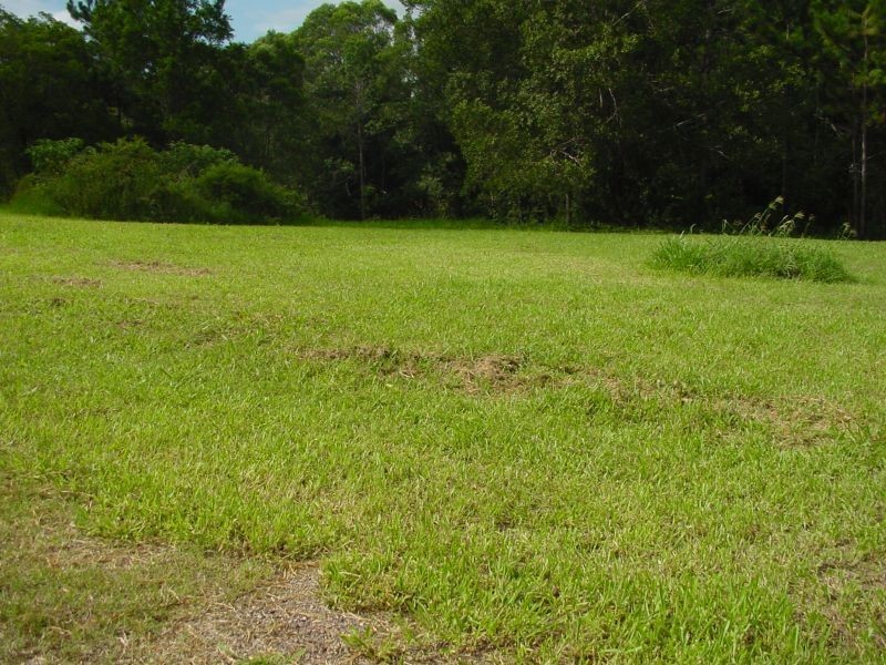 815  Pomona Kin Kin Rd, Kin Kin QLD 4571
