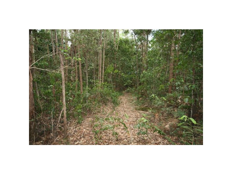 39 Tinbeerwah Road, Tinbeerwah QLD 4563