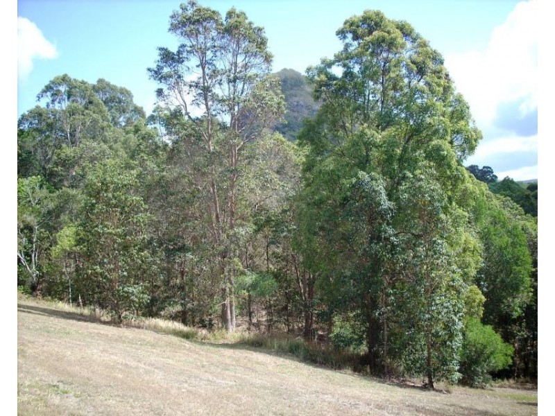 Cooran QLD 4569