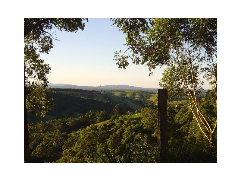 Cooroy QLD 4563