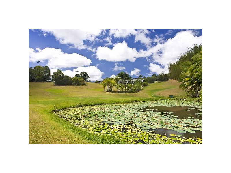 Cooroy QLD 4563