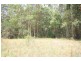 Eumundi QLD 4562