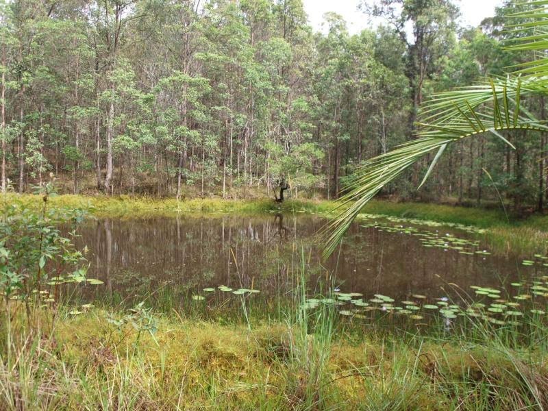 Cooran QLD 4569