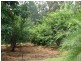 Cooran QLD 4569