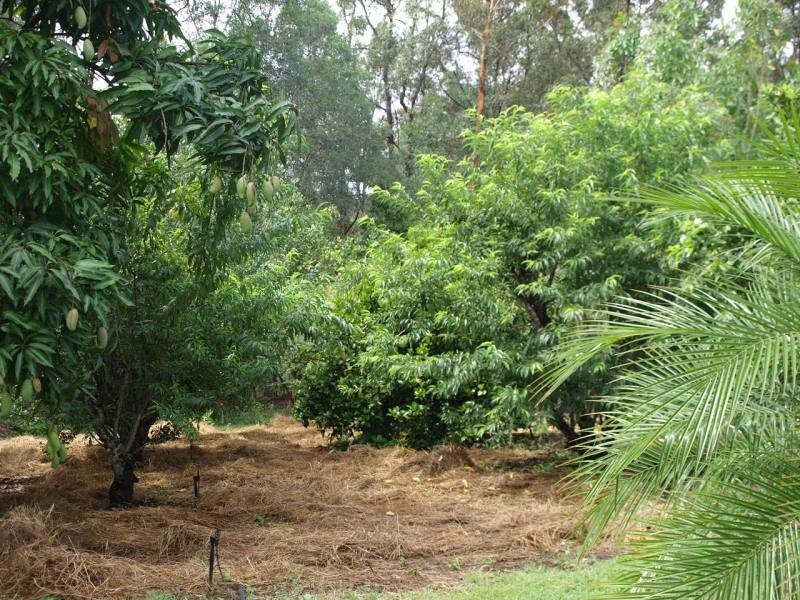 Cooran QLD 4569