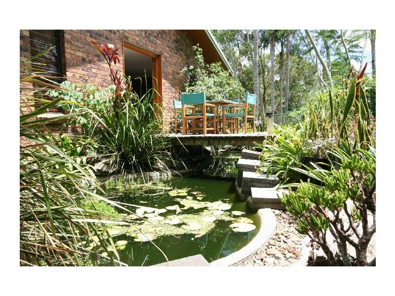 Cooroy QLD 4563