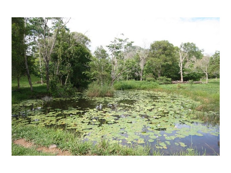 164 Arthys Road, Cooran QLD 4569