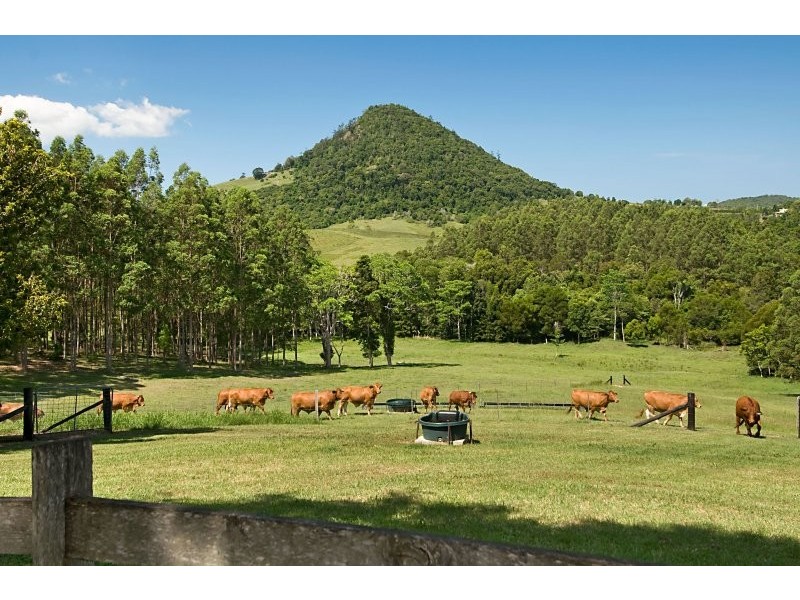 164 Arthys Road, Cooran QLD 4569