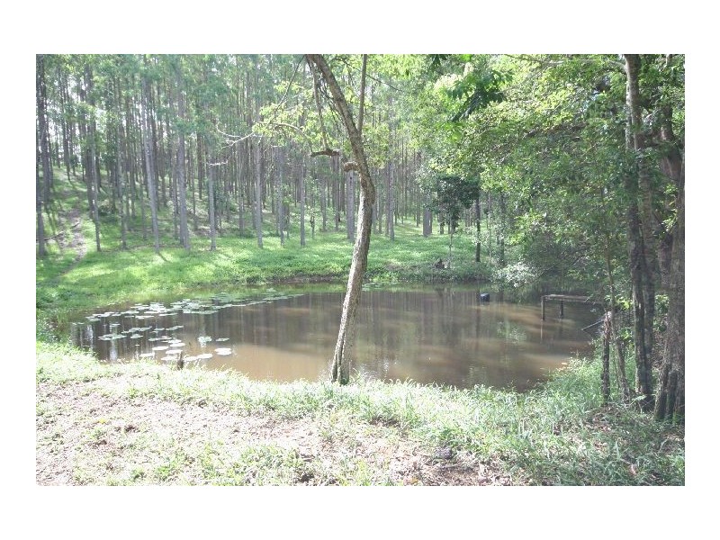 164 Arthys Road, Cooran QLD 4569