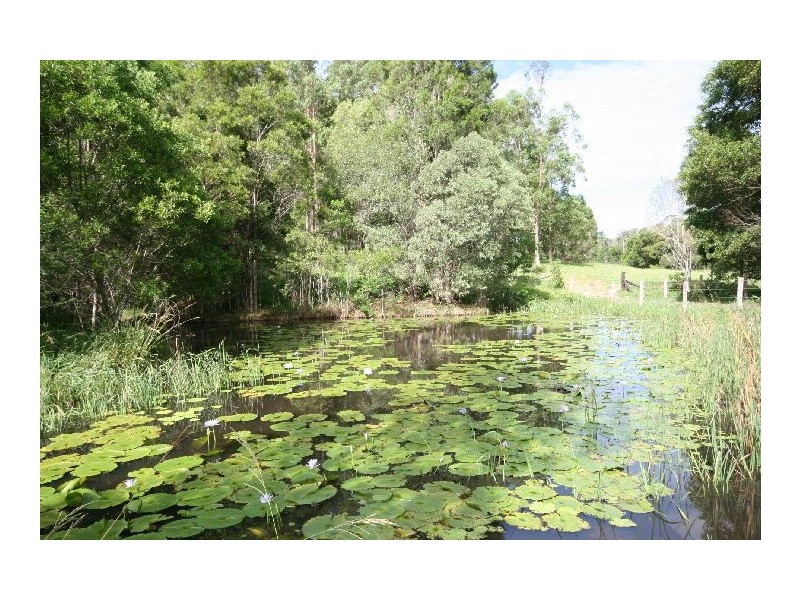 164 Arthys Road, Cooran QLD 4569