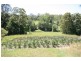 239 Coles Creek Road, Cooran QLD 4569