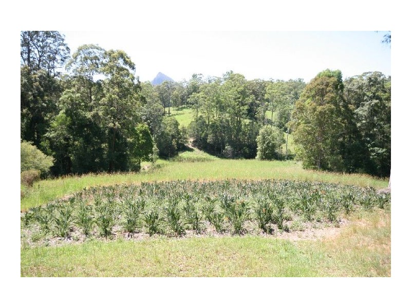 239 Coles Creek Road, Cooran QLD 4569