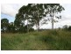 Cooroy QLD 4563