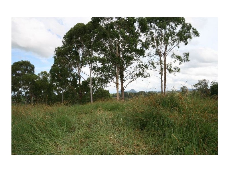 Cooroy QLD 4563