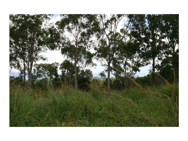 Cooroy QLD 4563