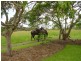 Cootharaba QLD 4565