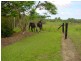 Cootharaba QLD 4565