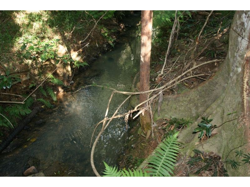 143 Black Mountain Range Rd, Cooroy QLD 4563