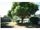 Cooroy QLD 4563