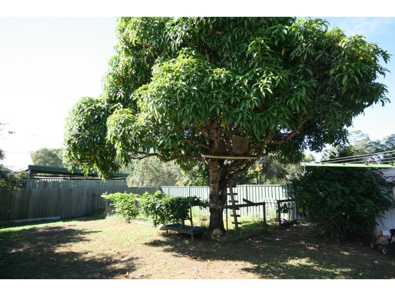 Cooroy QLD 4563