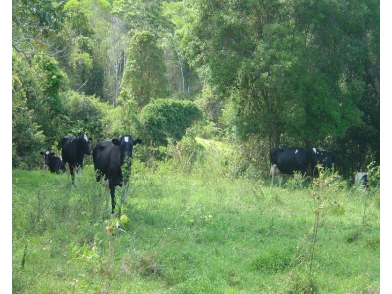 122 Andersons Rd, Pomona QLD 4568