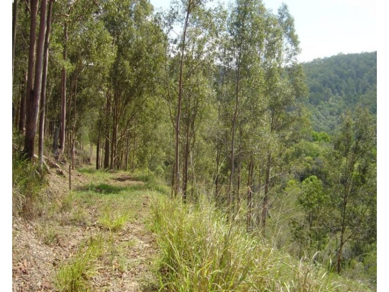 122 Andersons Rd, Pomona QLD 4568