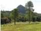 68 Coles Creek Road, Cooran QLD 4569