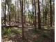 Pomona QLD 4568