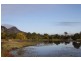 Cooran QLD 4569