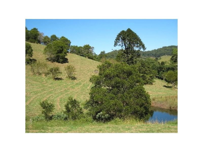 75 Musa Vale Road, Cooroy QLD 4563