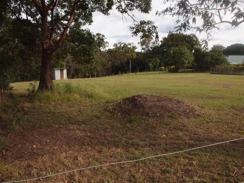 Cooran QLD 4569
