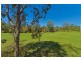 565 Coles Creek Rd, Cooran QLD 4569