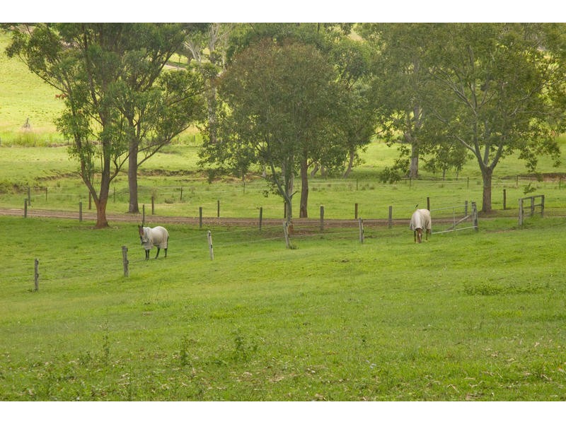 6 Fleetwood Road, Eumundi QLD 4562