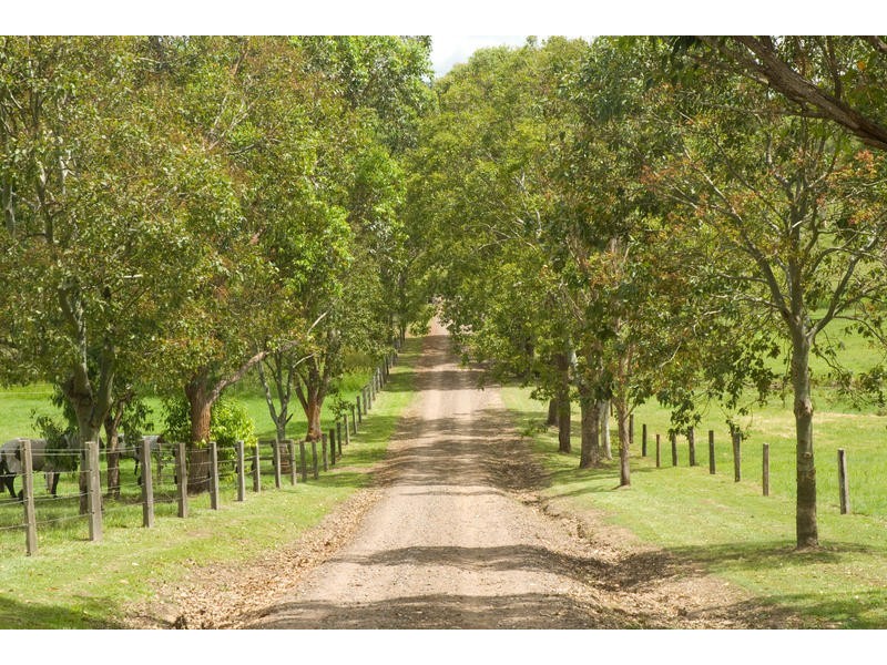 6 Fleetwood Road, Eumundi QLD 4562